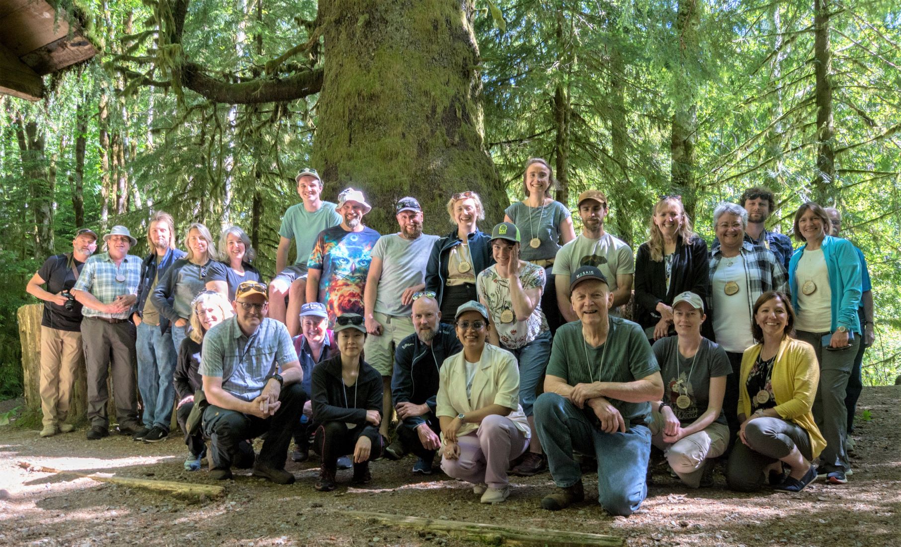 group photo from attendees on the June 2022 bus tour on Vancouver Island, standing in front of a large Sitka Spruce